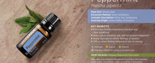 Uleiul esential de PEPPERMINT (Menta piperita) de la doTERRA