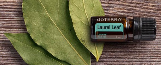 Uleiul esențial LAUREL LEAF (frunze de dafin) de la doTERRA