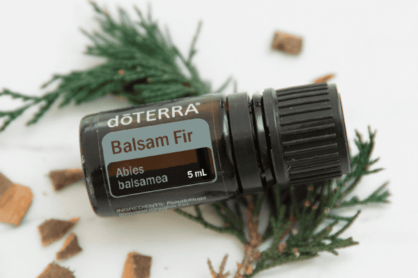 balsam fir (brad balsamic) doterra
